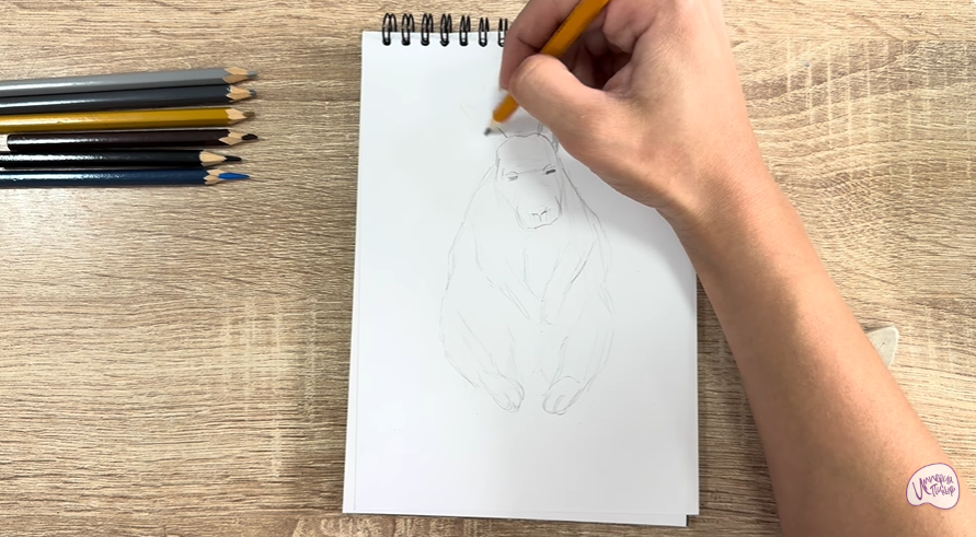 Рисуем Горная вискаша