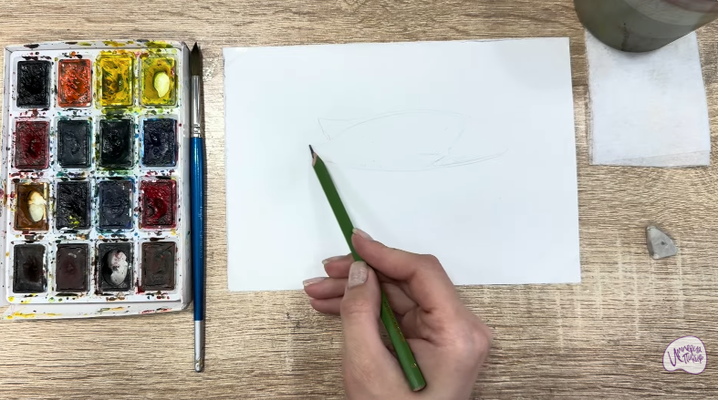 Рисуем Чернокрапчатый ворчун