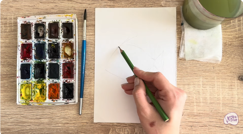 Рисуем Платакс