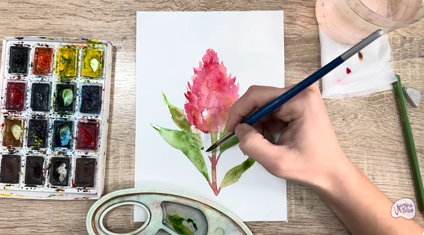 Рисуем Целозия