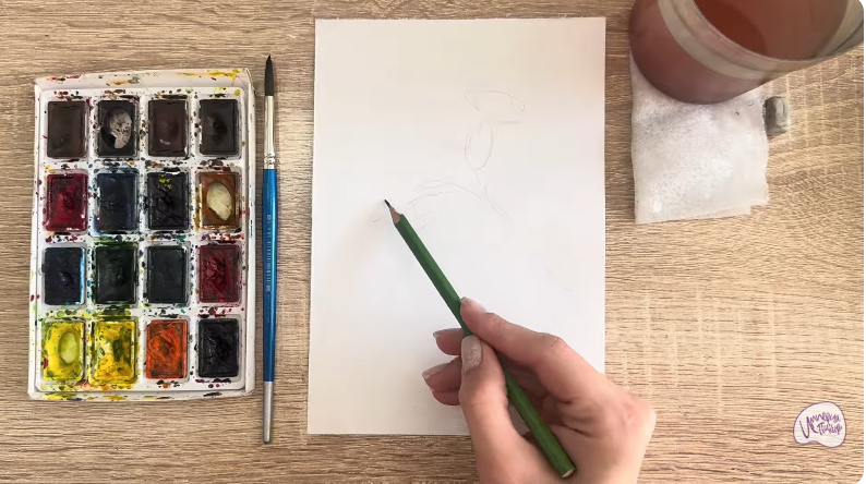 Рисуем Розовая смолёвка