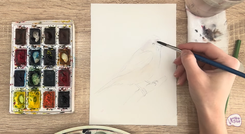 Рисуем Обыкновенная чечётка