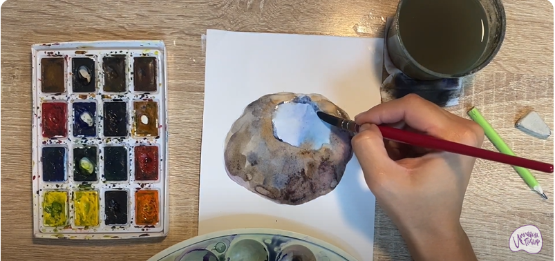 Рисуем Саркосома шаровидная
