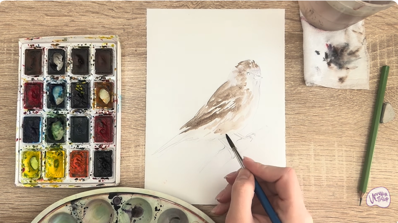 Рисуем Обыкновенная чечётка