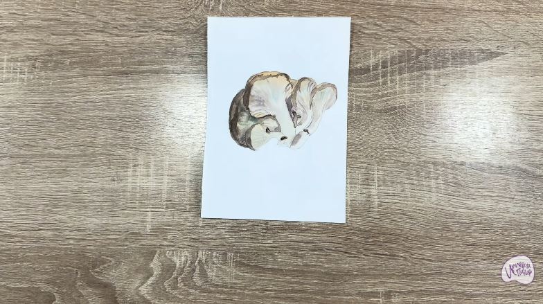 Рисуем Вешенки Рисуем Вешенки