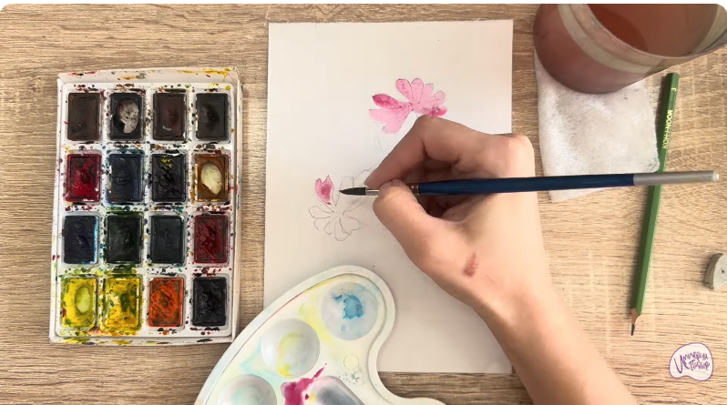 Рисуем Розовая смолёвка