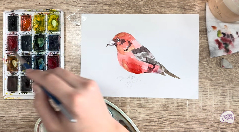 Рисуем Клест - еловик