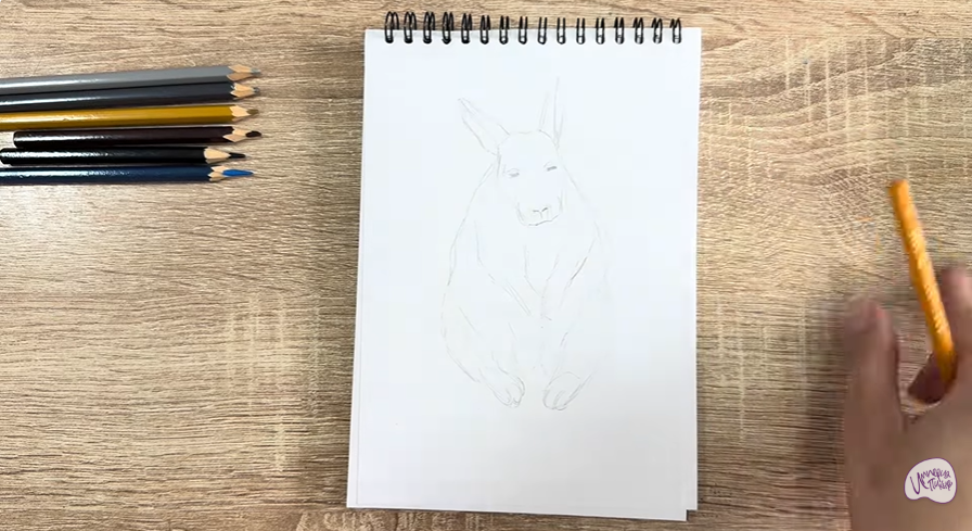 Рисуем Горная вискаша
