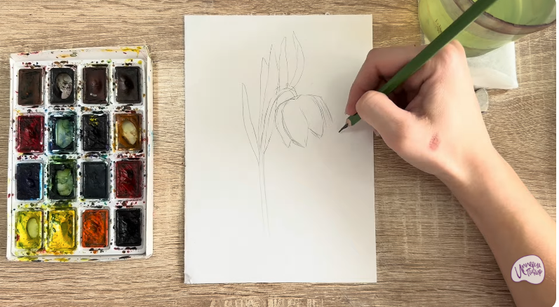 Рисуем Желтый рябчик