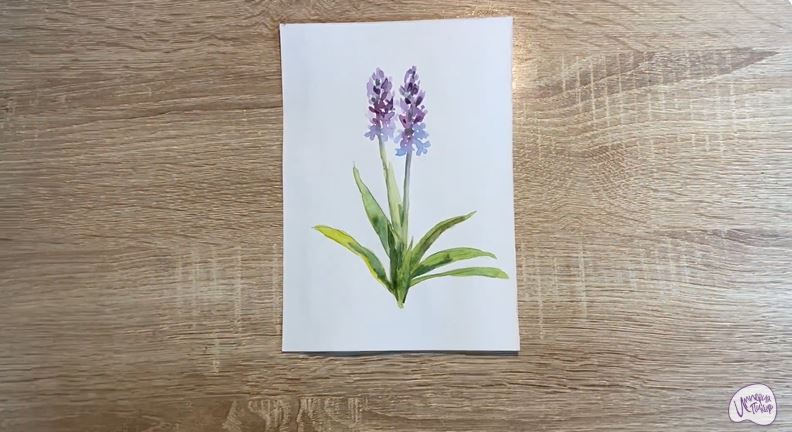 Рисуем Кокушник длиннорогий