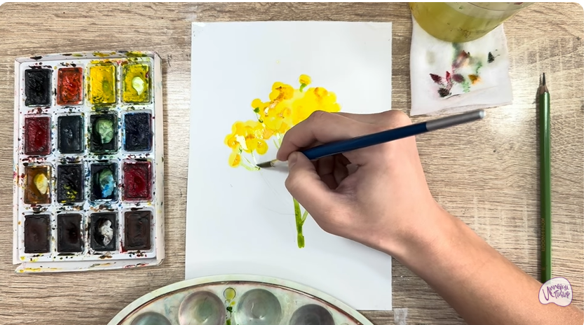 Рисуем Пижма