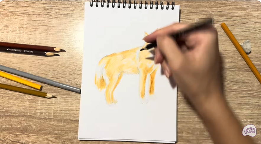 Рисуем Динго