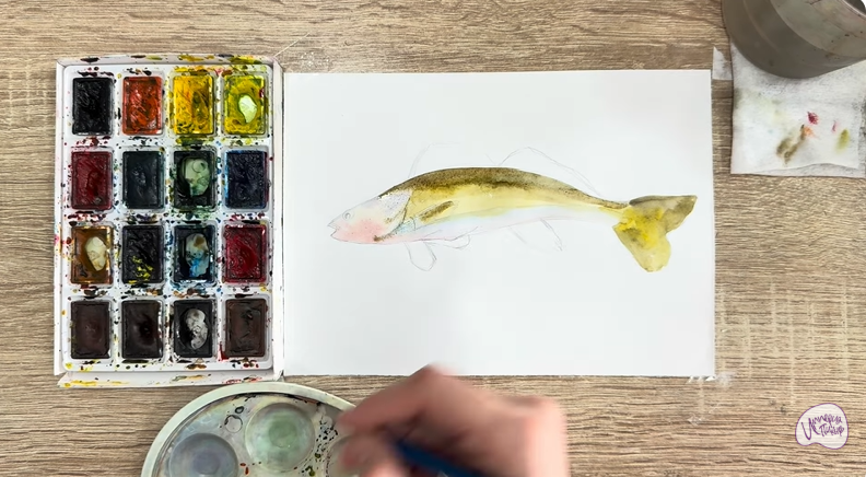 Рисуем Берш