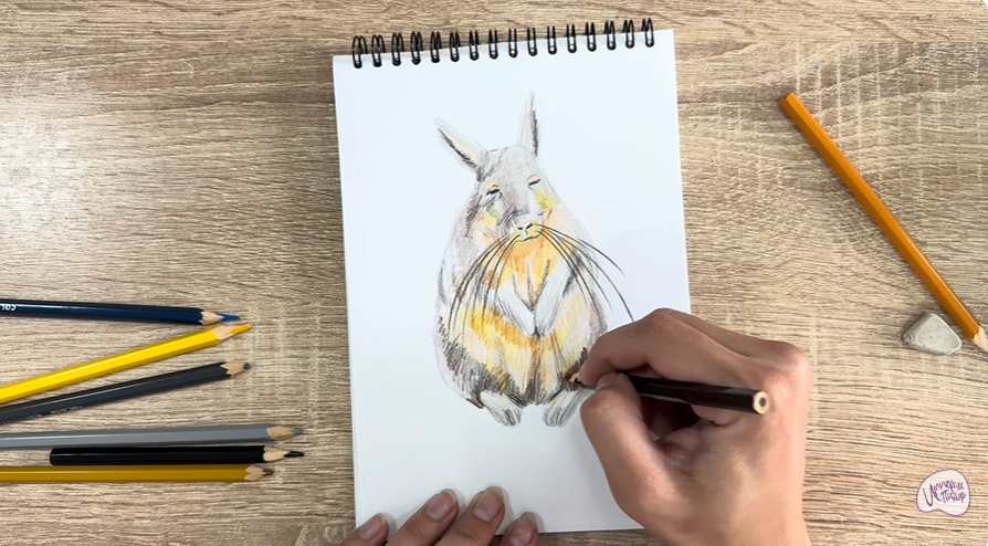 Рисуем Горная вискаша