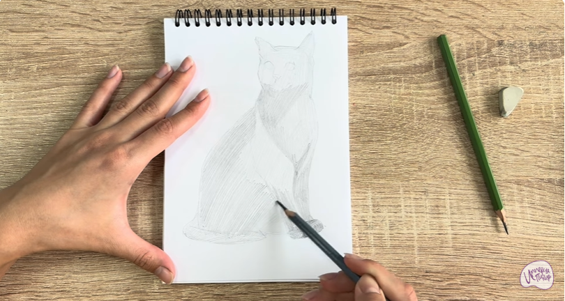 Рисуем Бурманский кот Рисуем Бурманский кот