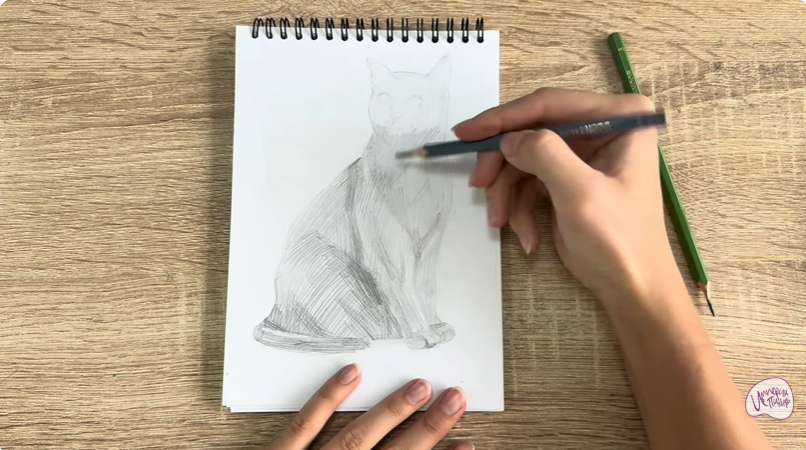 Рисуем Бурманский кот Рисуем Бурманский кот