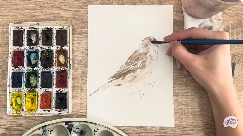 Рисуем Обыкновенная чечётка