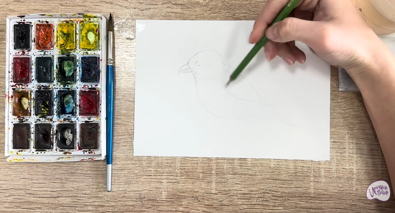 Рисуем Клест - еловик