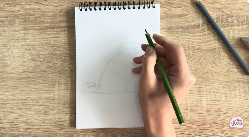 Рисуем Кошка породы Рэгдолл