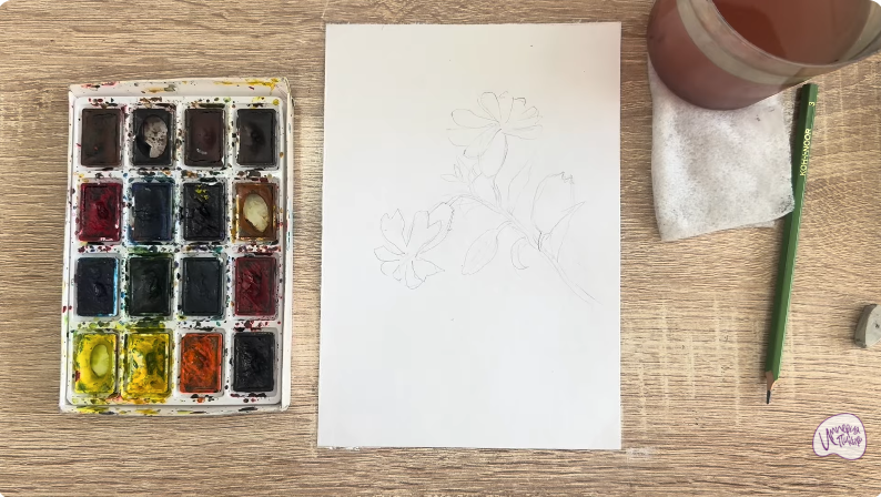 Рисуем Розовая смолёвка