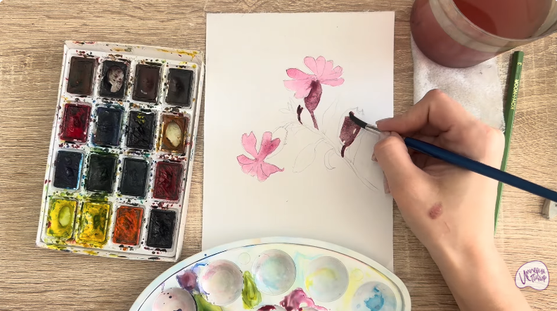 Рисуем Розовая смолёвка