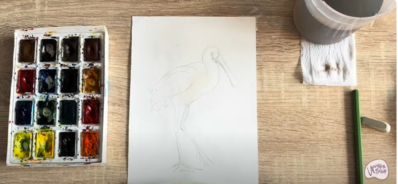 Рисуем Колпица Рисуем Колпица