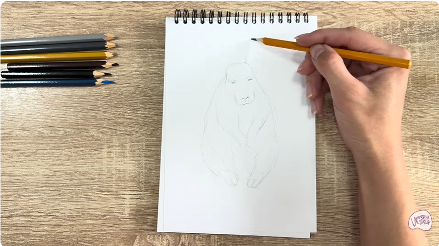 Рисуем Горная вискаша