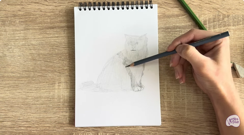 Рисуем Кошка породы Рэгдолл