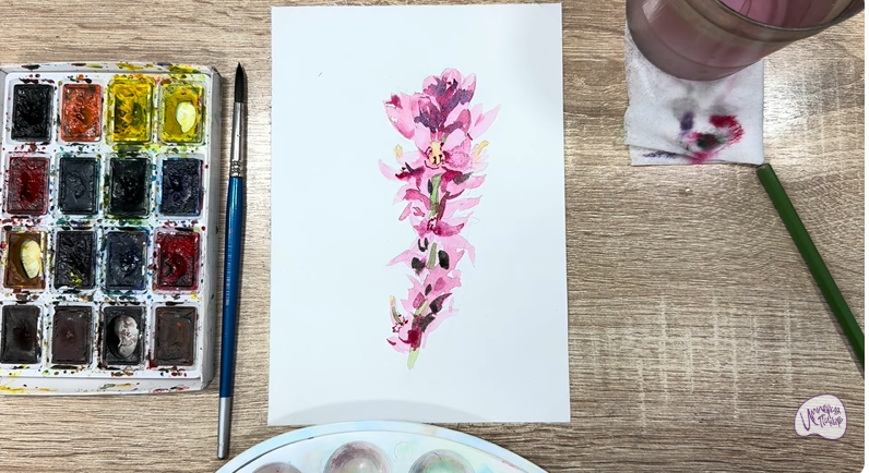 Рисуем Мирикария лисохвостая