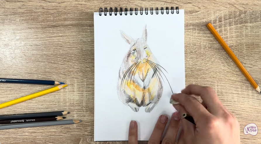 Рисуем Горная вискаша