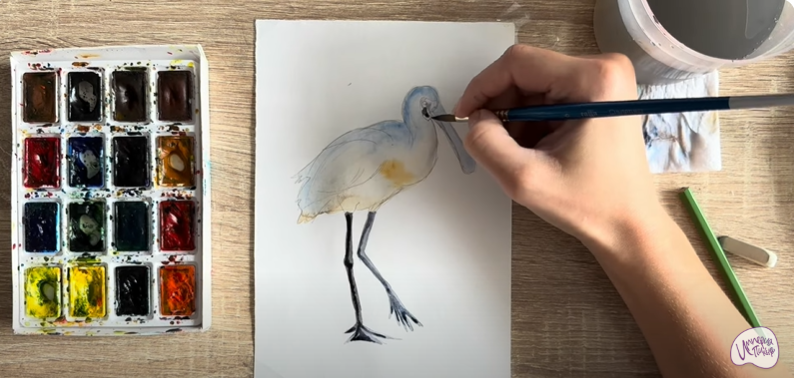 Рисуем Колпица Рисуем Колпица