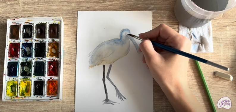 Рисуем Колпица Рисуем Колпица