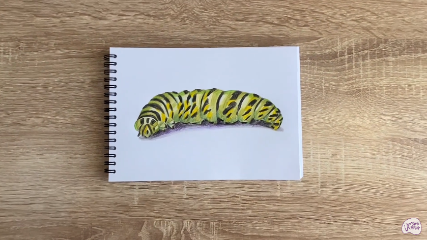 Рисуем Гусеница