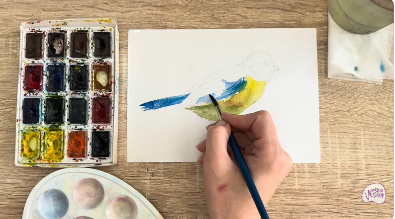 Рисуем Обыкновенная лазоревка