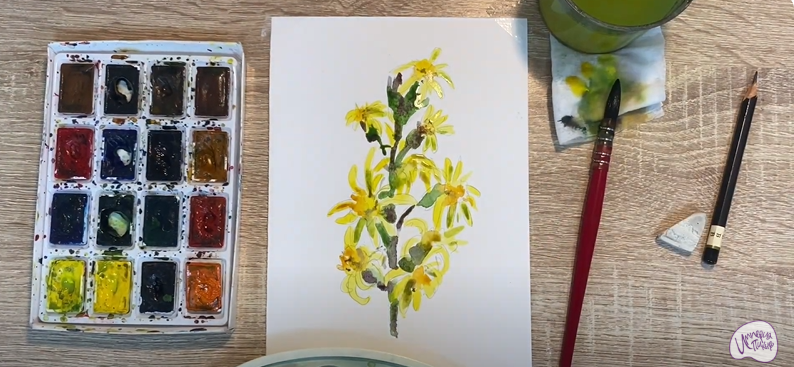 Рисуем Бузульник сибирский