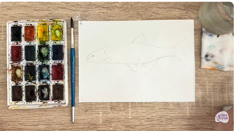 Рисуем Голавль