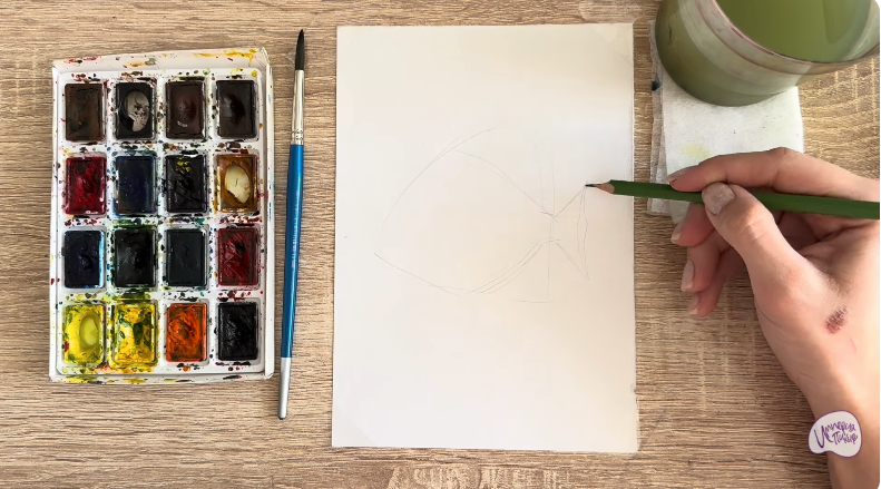 Рисуем Платакс