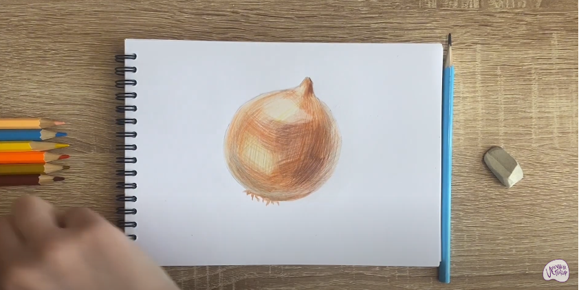 Рисуем Луковица