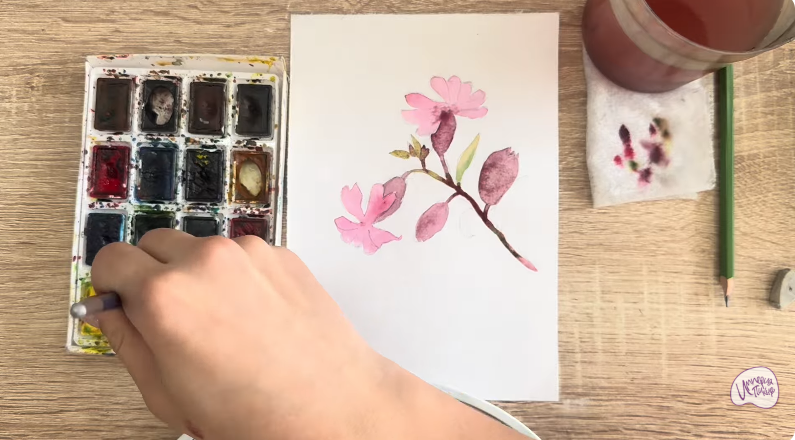 Рисуем Розовая смолёвка