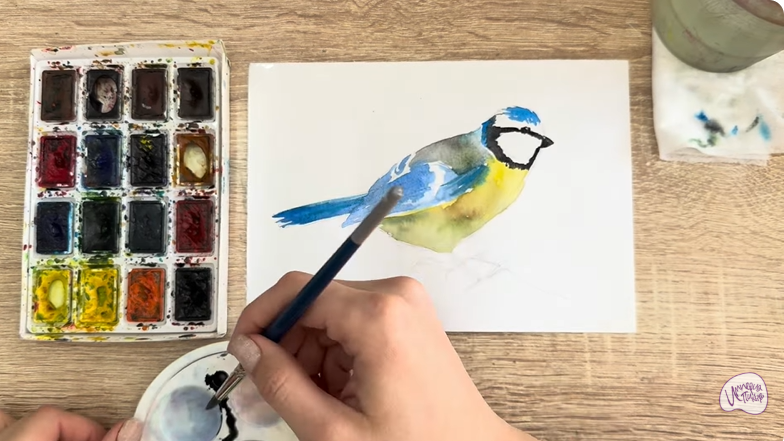 Рисуем Обыкновенная лазоревка