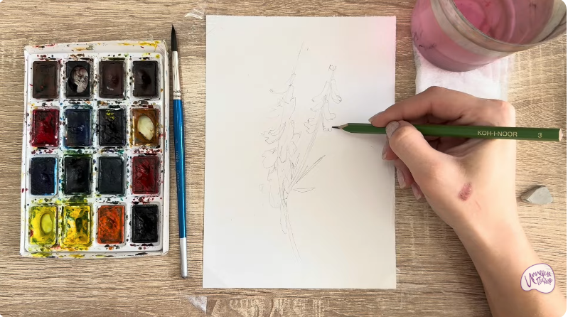 Рисуем Мышиный горошек