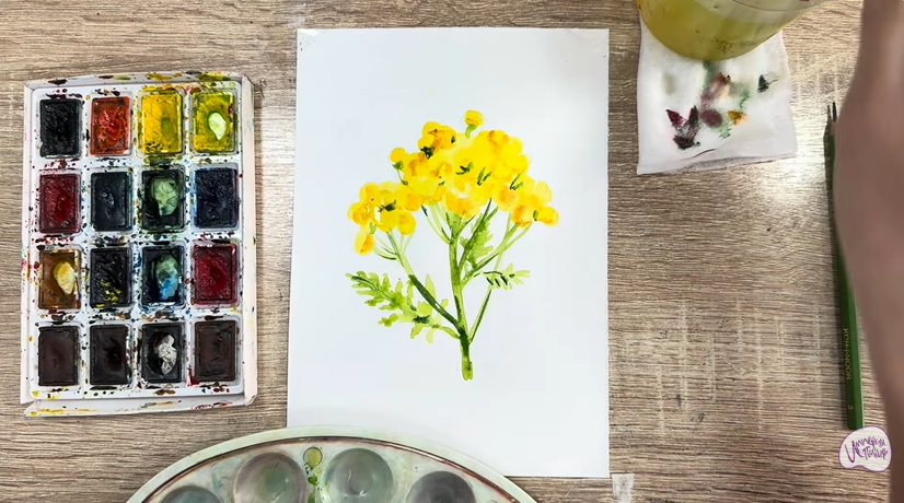 Рисуем Пижма