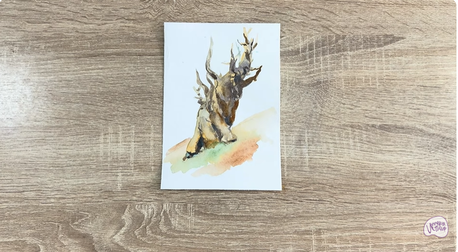 Рисуем Сосна Мафусаила