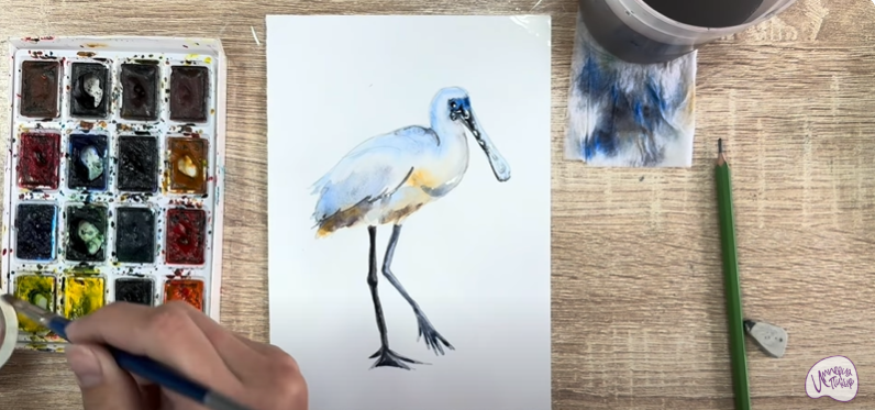Рисуем Колпица Рисуем Колпица
