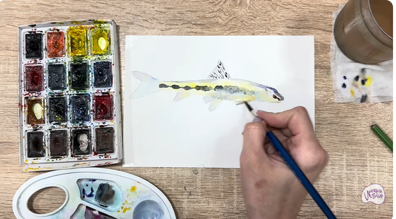 Рисуем Ленский пескарь