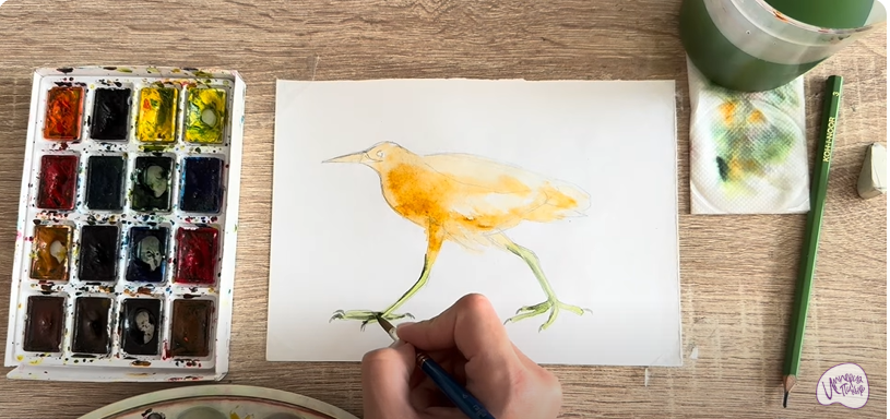 Рисуем Выпь Рисуем Выпь