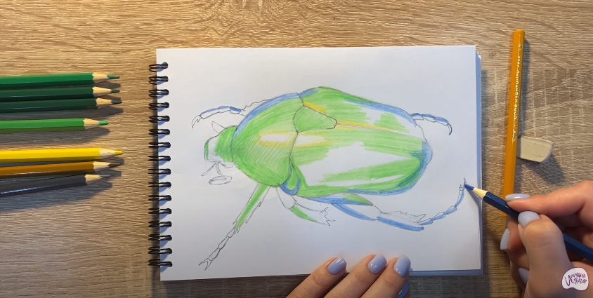 Рисуем Жук скарабей