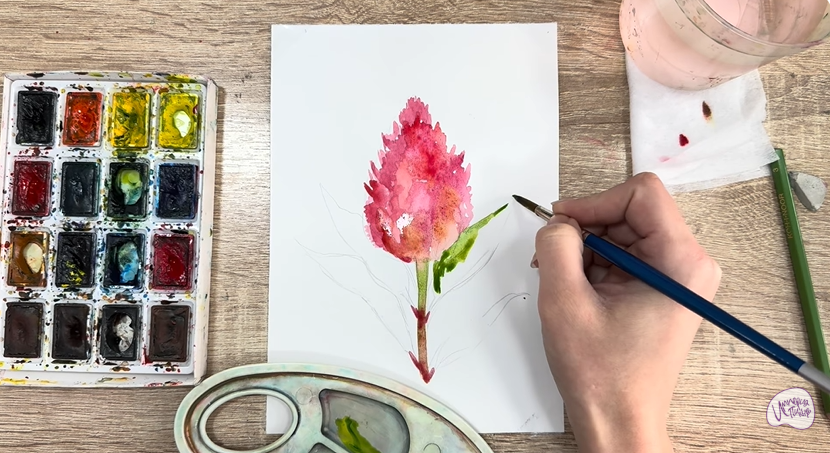 Рисуем Целозия