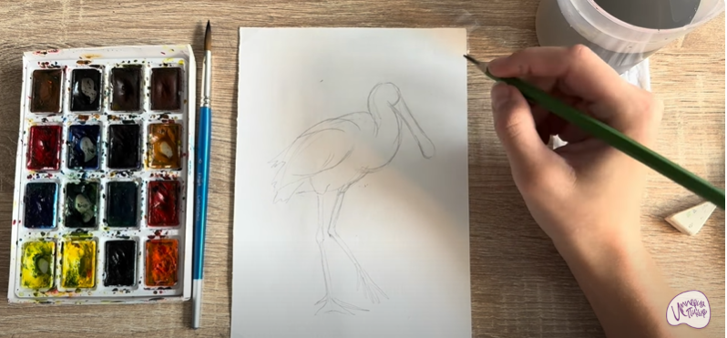 Рисуем Колпица Рисуем Колпица
