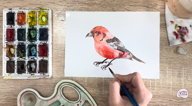 Рисуем Клест - еловик